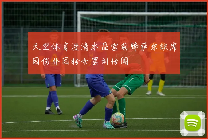 天空体育澄清水晶宫前锋萨尔缺席因伤非因转会罢训传闻
